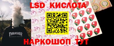 гашик Новозыбков