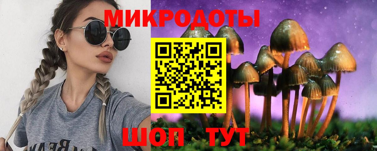 Галлюциногенные грибы Psilocybe Усть-Джегута