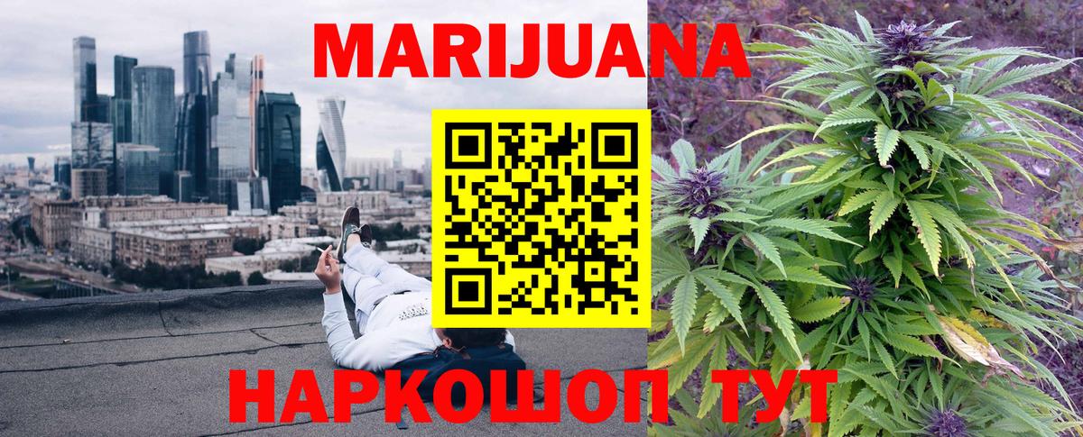 Конопля гибрид Усть-Джегута